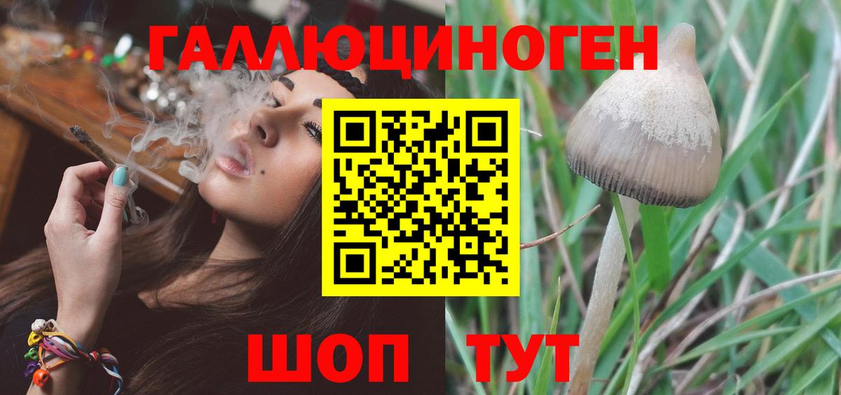 Усолье-Сибирское  Псилоцибиновые грибы Magic Shrooms  Вход с VPN 